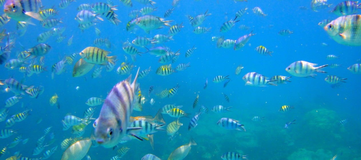 Trêve Paradisiaque Sur Lîle De Koh Chang