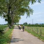 Voyage à vélo en famille dans le Jura