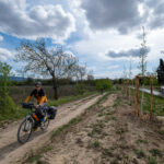 Chemins encore rustiques par endroit sur le canal du Midi