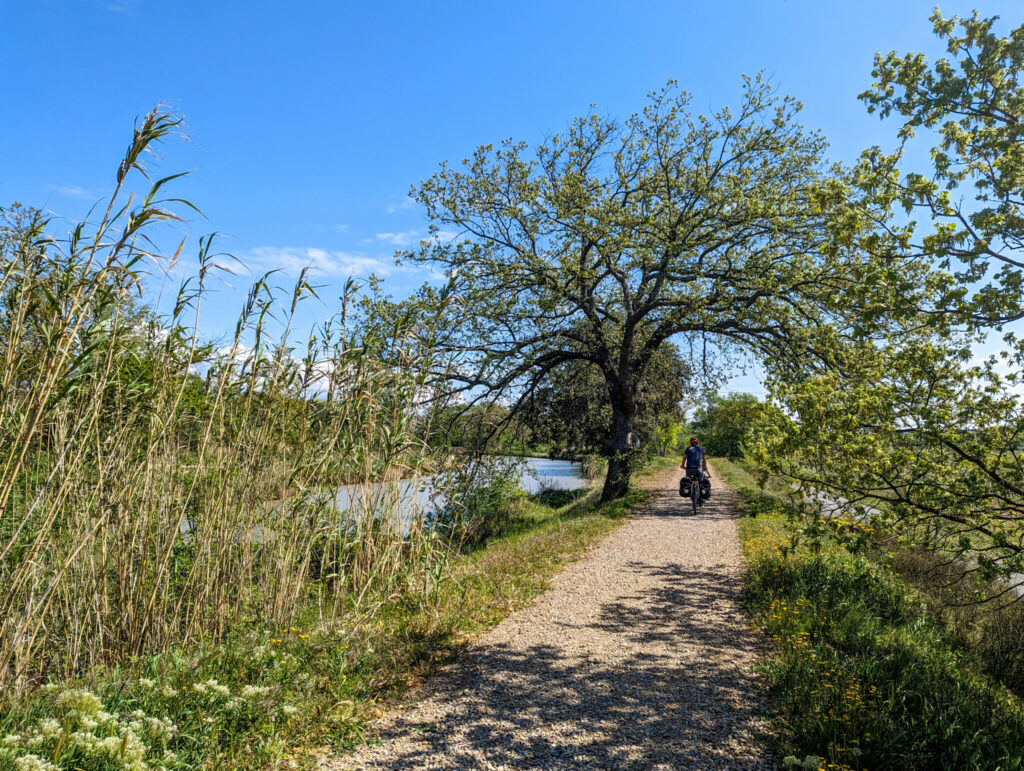 A vélo sur le canal du Midi