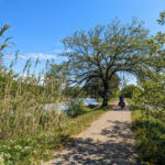 A vélo sur le canal du Midi