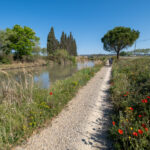 Printemps sur le canal du Midi à vélo