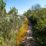 Chemins encore rustiques par endroit sur le canal du Midi